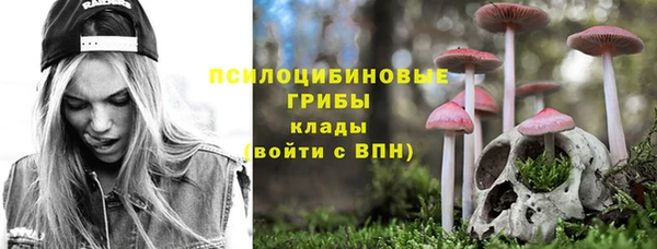 метадон Осташков