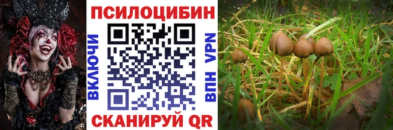 Галлюциногенные грибы Psilocybe  наркошоп  KRAKEN как зайти  Данилов 